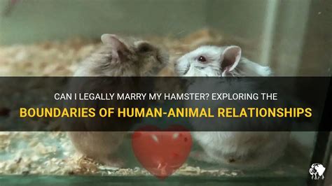 What States Is It Legal to Marry an Animal: Exploring the Boundaries of Human-Animal Relationships